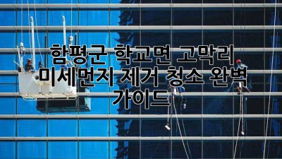 함평군 학교면 고막리 미세먼지 제거 청소 완벽 가이드